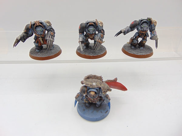 Wolf Guard Terminators