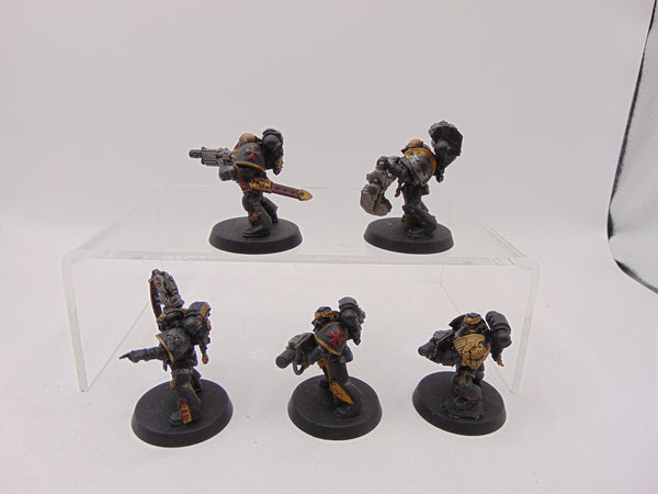 Sternguard Veterans