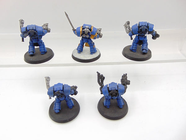 Cataphractii Terminator Squad