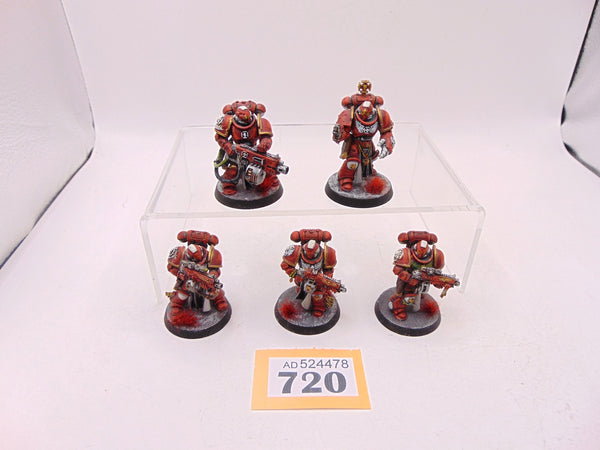 Sternguard Veterans