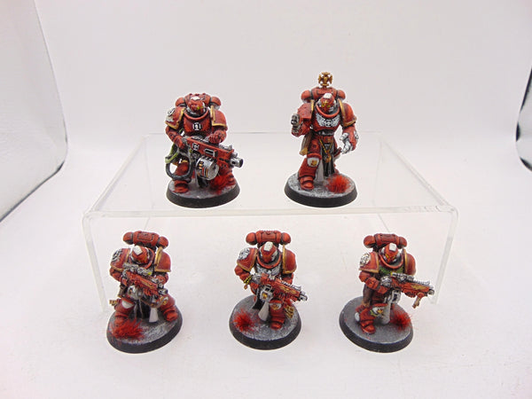 Sternguard Veterans