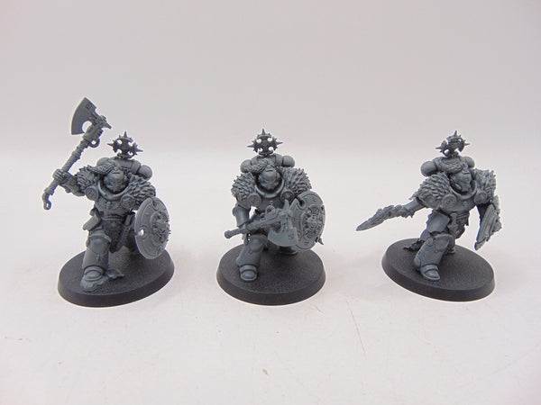 Wolf Guard Headtakers