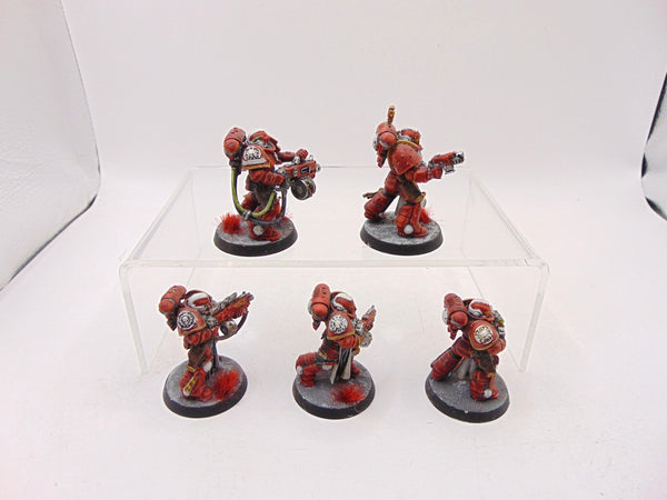 Sternguard Veterans