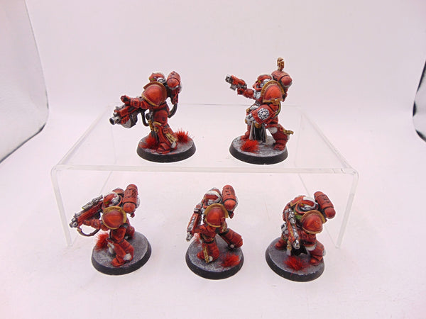 Sternguard Veterans
