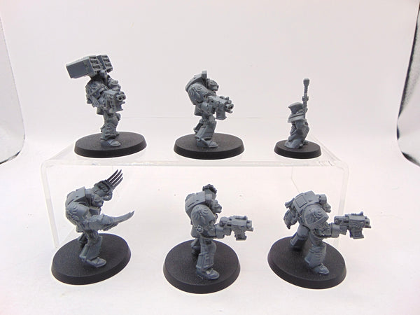 Deathwing Terminator Squad