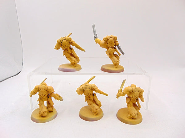 Assault Intercessors