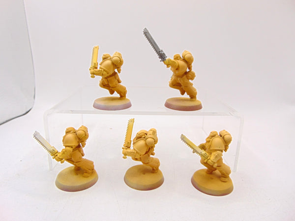 Assault Intercessors