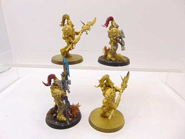Custodian Guard