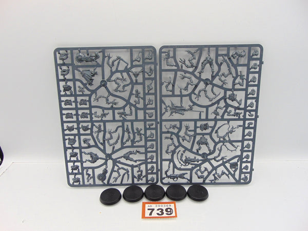 Acolyte Hybrids / Hybrid Metamorphs