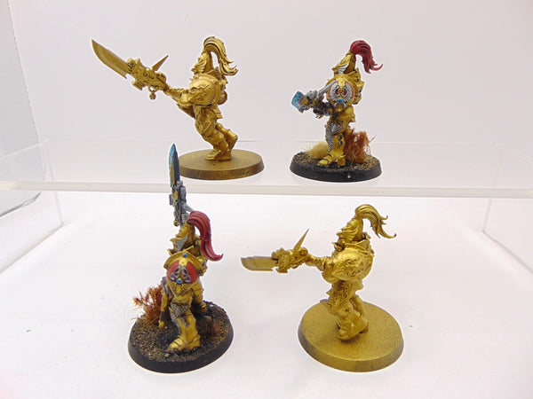 Custodian Guard