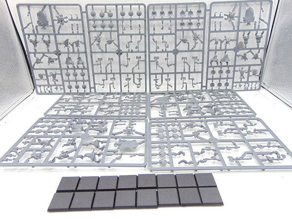 Dwarf Warriors