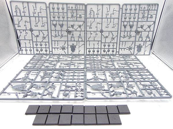 Dwarf Warriors