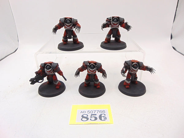 Cataphractii Terminator Squad