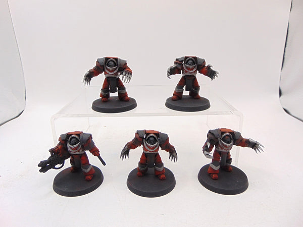 Cataphractii Terminator Squad