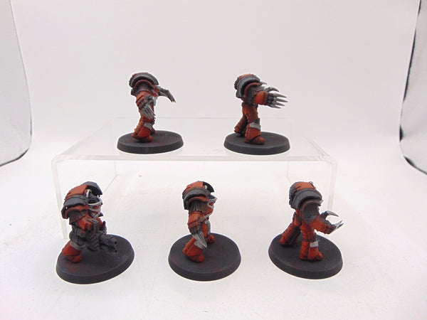 Cataphractii Terminator Squad