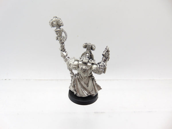 Chief Librarian Tigurius