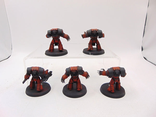 Cataphractii Terminator Squad