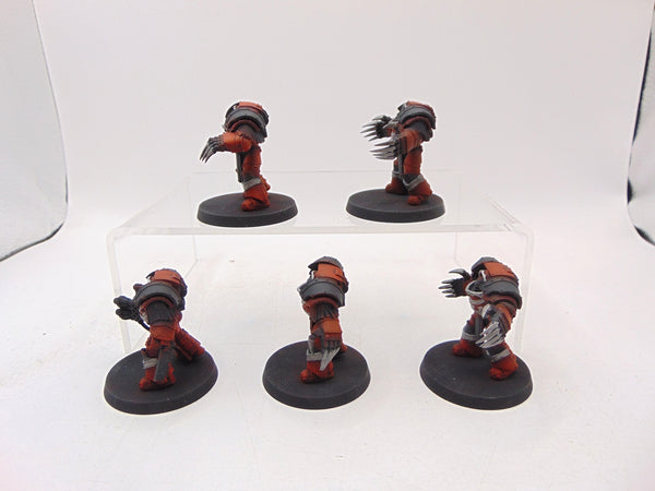 Cataphractii Terminator Squad