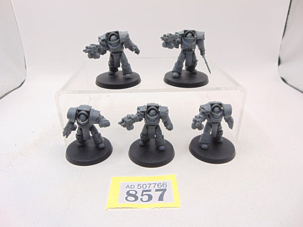 Cataphractii Terminator Squad