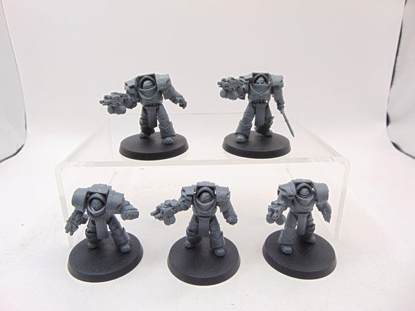Cataphractii Terminator Squad
