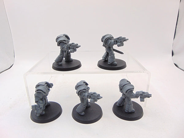 Cataphractii Terminator Squad