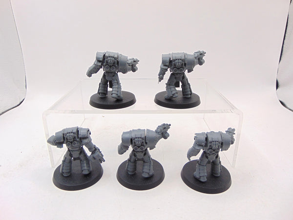 Cataphractii Terminator Squad