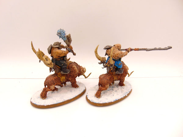 Mournfang Cavalry Pack