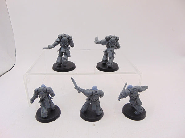 Assault Intercessors