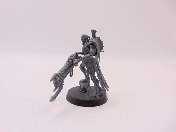 Royal Warden