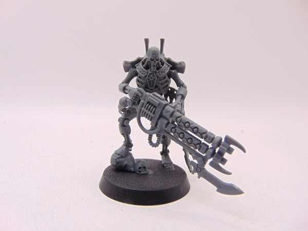 Royal Warden