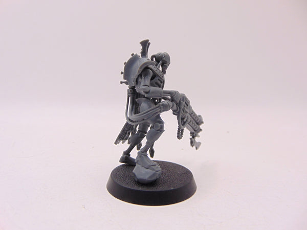 Royal Warden