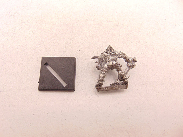 C35 Chaos Warrior Fenris