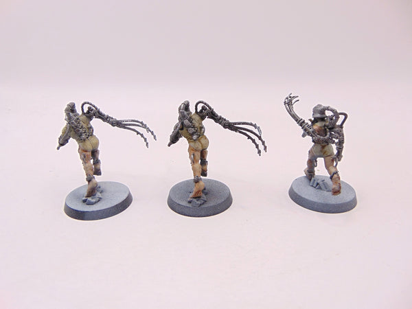 Arco Flagellants