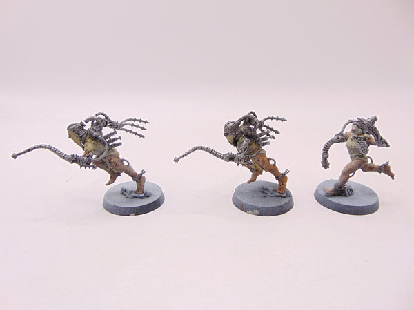Arco Flagellants