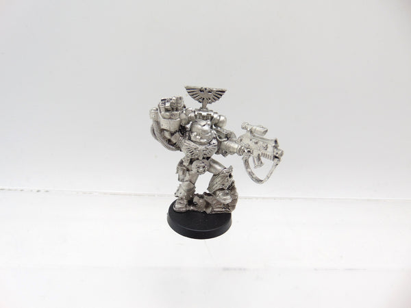 Web Exclusive Space Marine Sergeant
