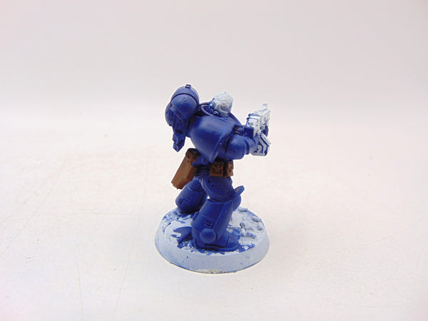 Brother Vignius