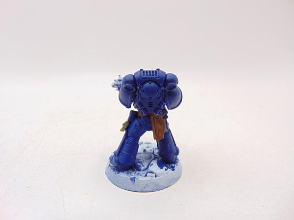 Brother Vignius
