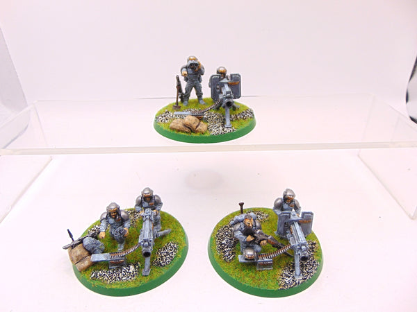 Cadian Heavy Weapon Squad