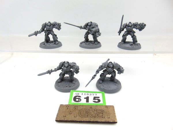 Brotherhood Terminator Squad