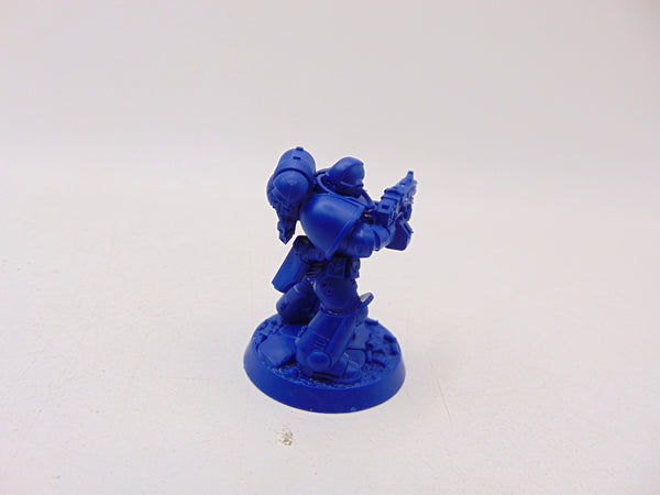 Vignius