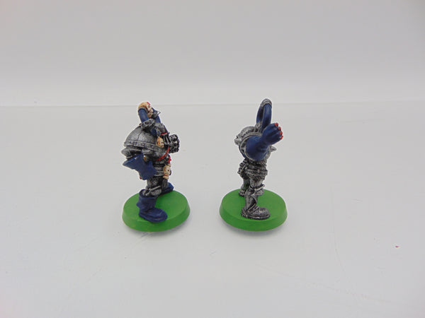 Lord Borak Star Player & Chaos Warrior
