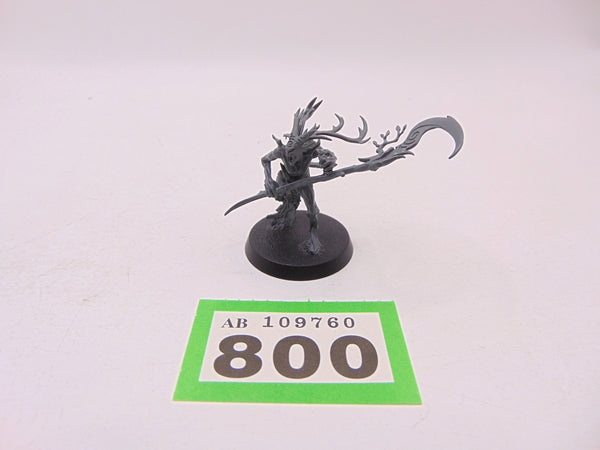 Branchwych