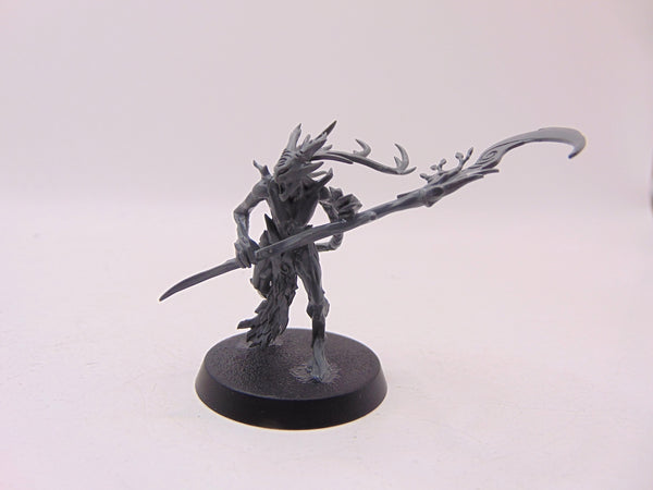 Branchwych