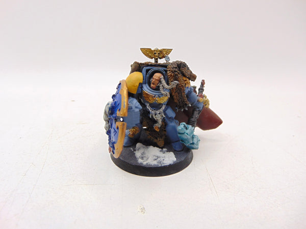 Wolf Guard Pack Leader in Terminator Armour