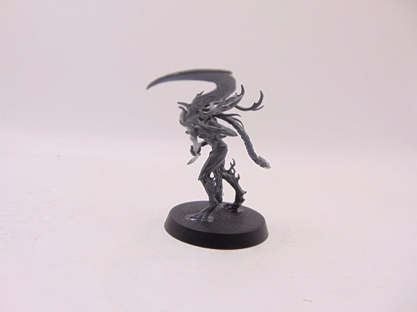 Branchwych