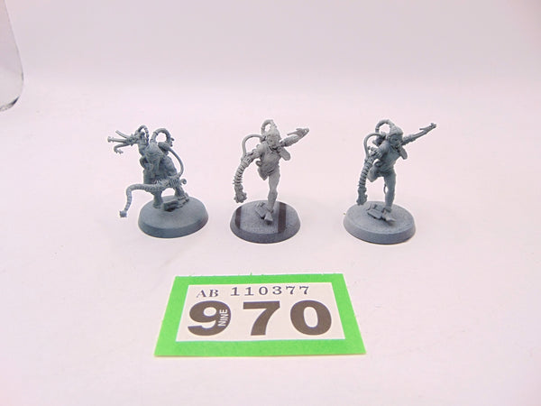 Arco Flagellants