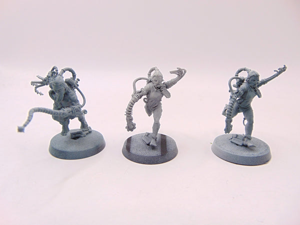 Arco Flagellants
