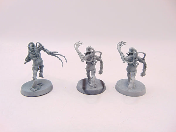 Arco Flagellants