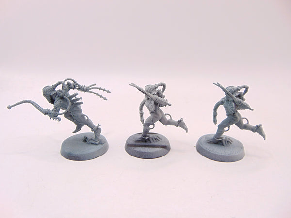 Arco Flagellants