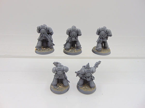 Sternguard Veterans